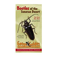 Getgo Guide To Beetles