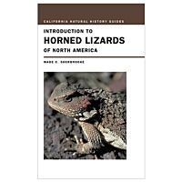 Introduction To Horned Lizards Of North America