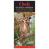 Owls Of North America: Including Nighthawks And Nightjars: A Comprehensive Guide To All Species