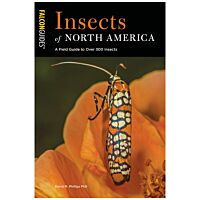Insects Of North America