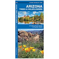 Pocket Naturalist Guide: Arizona Trees 