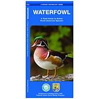 Pocket Naturalist Guide: Waterfowl: A Field Guide To Native North American Species