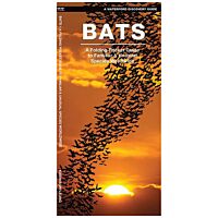 Bats: A Folding Pocket Guide To The Status Of Familiar Species