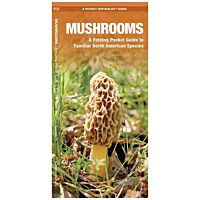 Mushrooms: An Introduction to Familiar North American Species