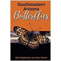 Southeastern Arizona Butterflies