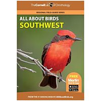 All About Birds Southwest