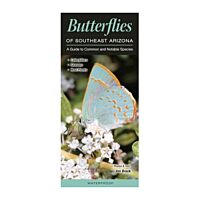 Butterflies of Southeastern Arizona
