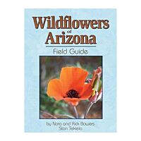 Wildflowers of Arizona