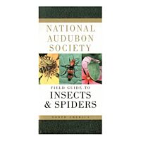 Field Guide To Insects 