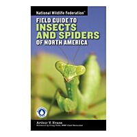 Field Guide To Insects Spiders National Wildlife Federation
