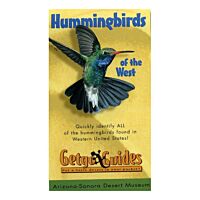 Getgo Guide To Hummingbirds