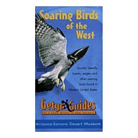 Getgo Guide To Soaring Birds