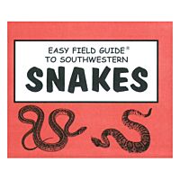 Easy Field Guide to Snakes of the Southwest